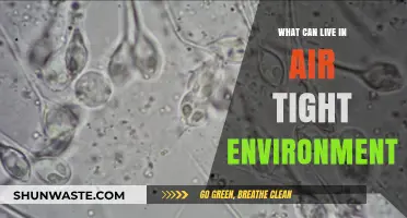 Surviving in Sealed Spaces: Organisms Thriving in Airtight Environments