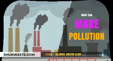 Unveiling the Hidden Sources: What Else Causes Pollution?