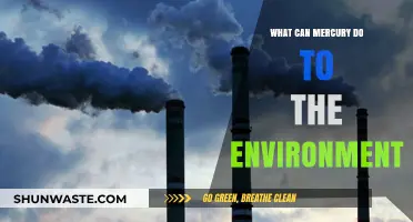 Mercury's Environmental Impact: Pollution, Poisoning, and Ecosystem Destruction Explained