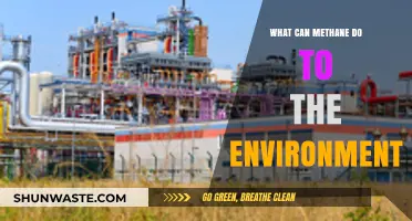 Methane's Environmental Impact: Climate Change, Pollution, and Ecosystem Disruption
