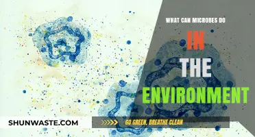 Microbes' Environmental Impact: Unveiling Their Hidden Ecological Superpowers