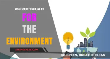Sustainable Business Practices: How Your Company Can Protect the Planet