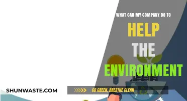 Sustainable Business Practices: How Your Company Can Protect the Environment