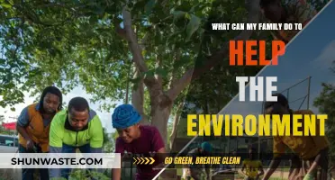 Eco-Friendly Family: Simple Steps to Protect Our Planet Together