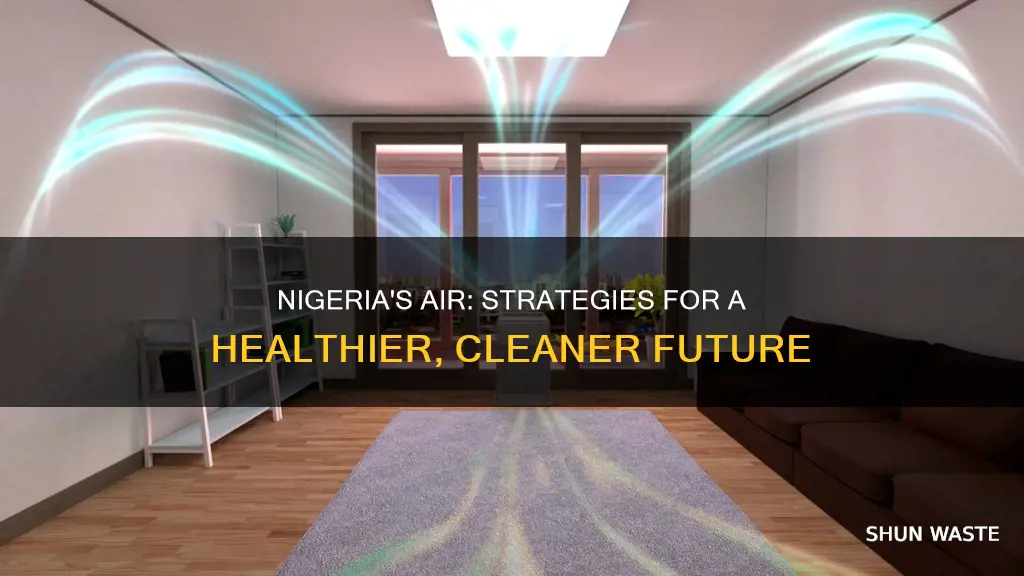 what can nigeria do in order to stable air pollution