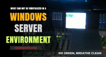 Unvirtualizable Components in Windows Server Environments: What You Need to Know