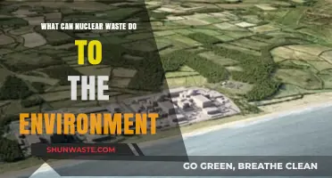 Environmental Impact of Nuclear Waste: Risks, Consequences, and Long-Term Effects