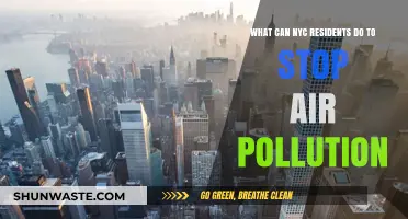 Breathing Clean: Empowering NYC Residents to Fight Air Pollution