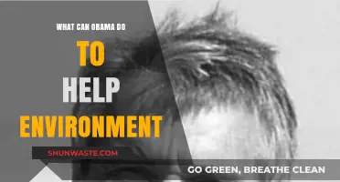 Obama's Green Legacy: Key Actions to Protect Our Environment