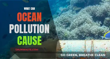 Ocean Pollution's Impact: A Threat to Marine Life and Beyond