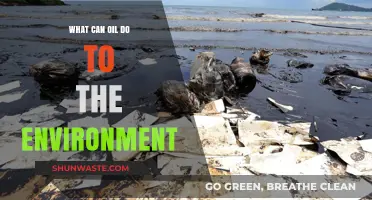 Environmental Impact of Oil: Pollution, Destruction, and Long-Term Consequences