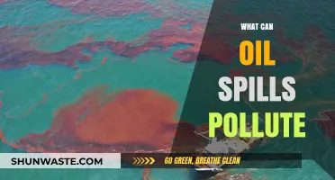 Oil Spills: Environmental Catastrophes and Their Devastating Impacts