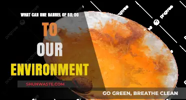 One Barrel of Oil: Environmental Impact and Long-Term Consequences