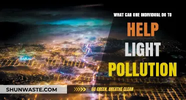 Dimming the Lights: Simple Steps to Fight Light Pollution