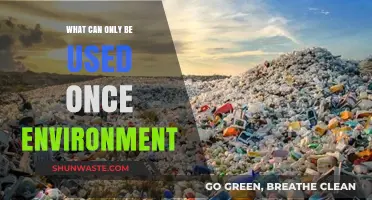 Single-Use Environmental Impact: Exploring the One-Time Use Dilemma