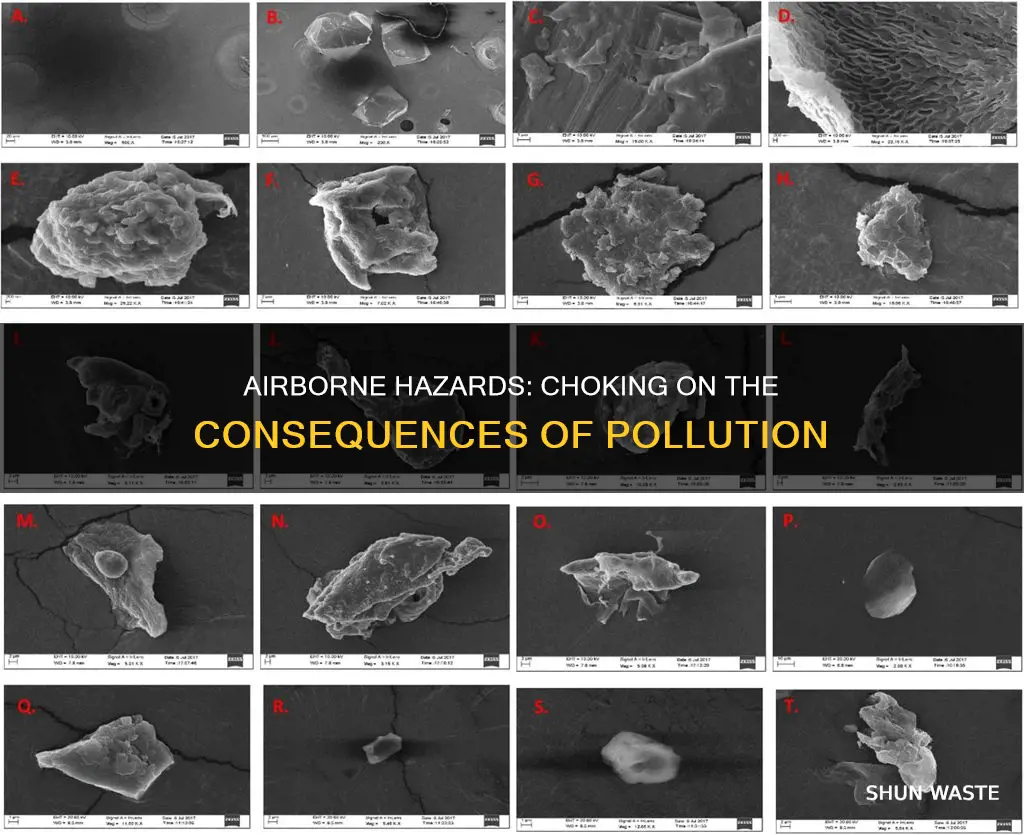 what can people choke on from air pollution