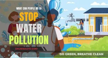 Empowering Action: Simple Steps to Combat Water Pollution