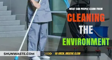 Cleaning the Environment: Lessons in Sustainability, Responsibility, and Community Impact