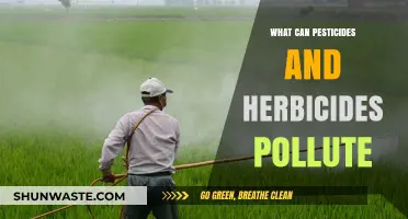 Pesticides and Herbicides: Hidden Pollutants Threatening Our Environment