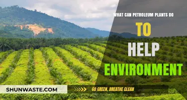 How Petroleum Plants Can Contribute to Environmental Sustainability and Conservation