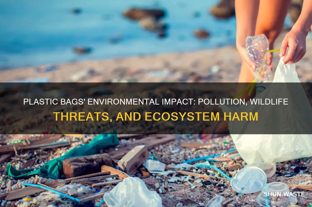 what can plastic bags do to the environment
