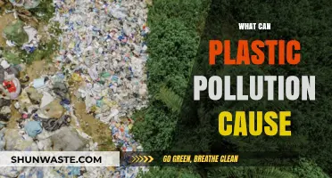 The Devastating Impact: How Plastic Pollution Affects Our World