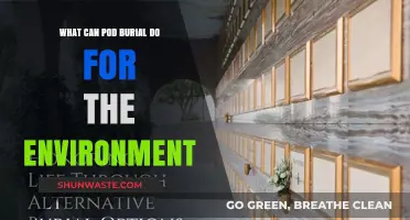 Pod Burial: Eco-Friendly Solution for Sustainable Environmental Impact