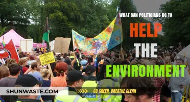 Politicians' Role in Environmental Conservation: Actionable Steps for a Greener Future
