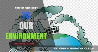 Pollution's Environmental Impact: A Deep Dive