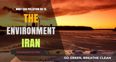 Iran's Environmental Crisis: Unveiling the Devastating Impact of Pollution