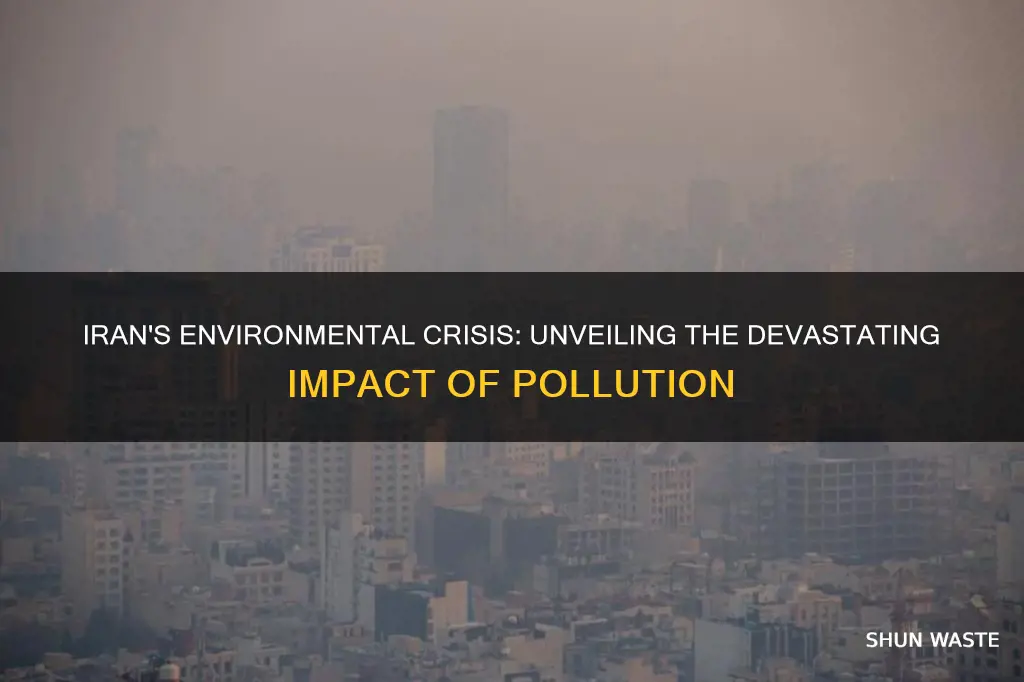 what can pollution do to the environment iran