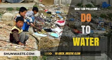 Pollution's Toxic Impact: Water's Plight