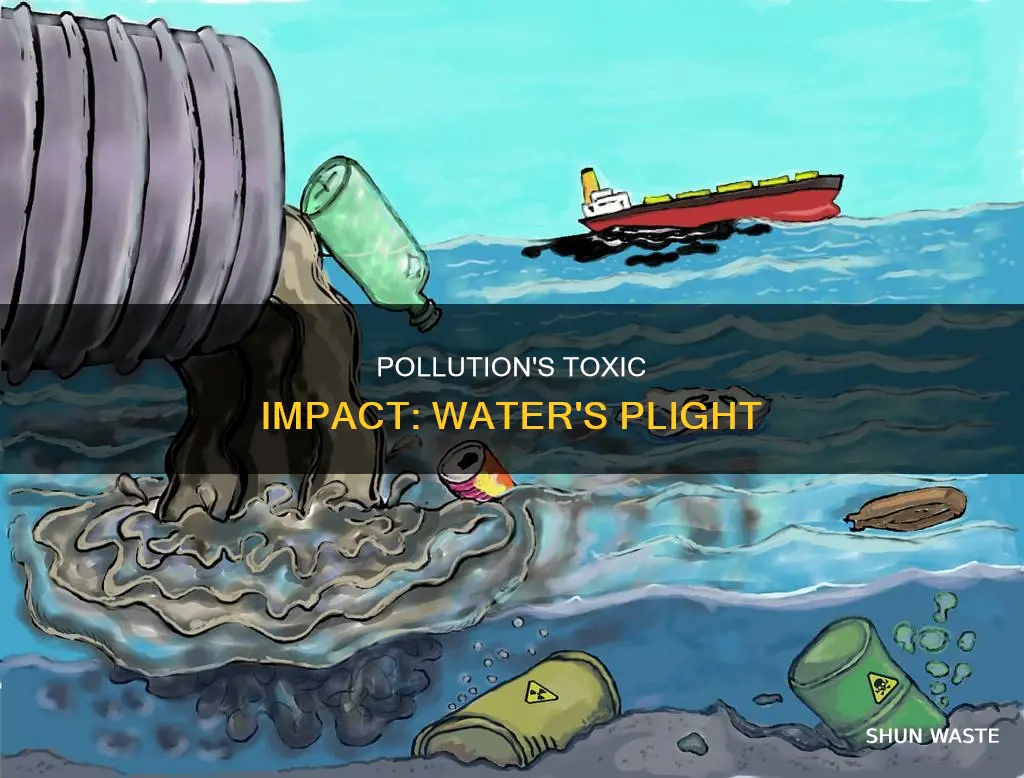 what can pollution do to water