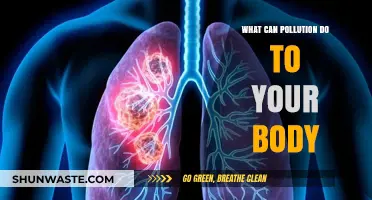 Unveiling the Toxic Impact: How Pollution Affects Your Health