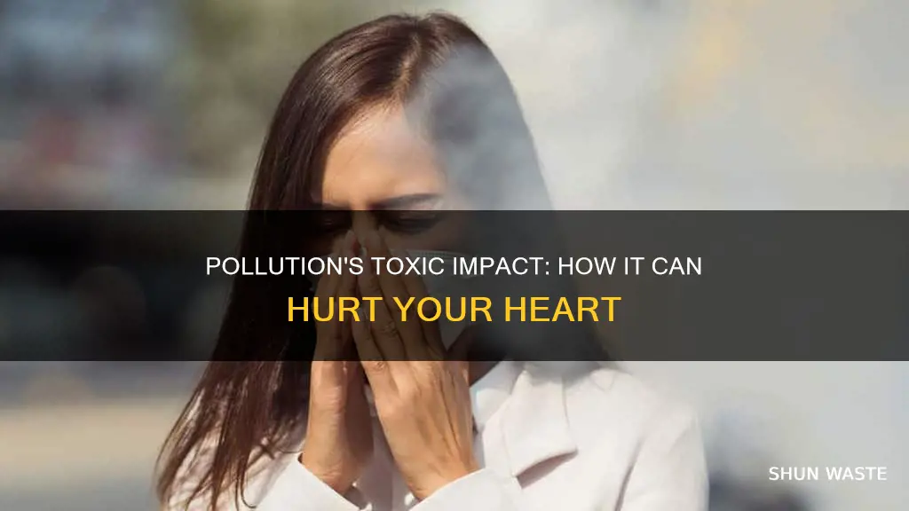 what can pollution do to your heart