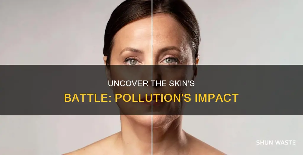 what can pollution do to your skin