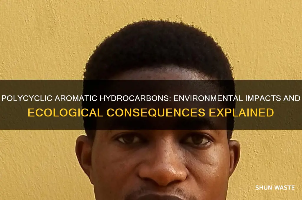 what can polycyclic aromatic hydrocarbons do to the environment