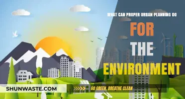 Sustainable Cities: How Urban Planning Benefits the Environment