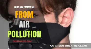 Breathing Clean: Effective Strategies to Shield Yourself from Air Pollution