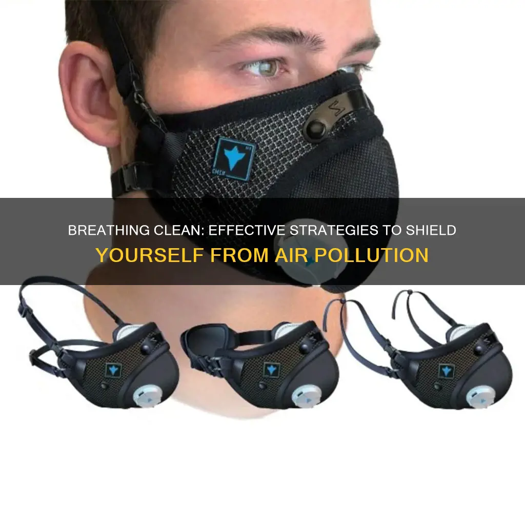 what can protect me from air pollution