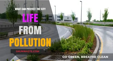 Breathing Clean: Strategies to Fortify Urban Life Against Pollution