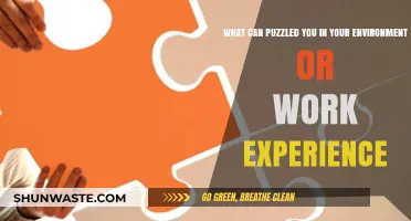 Unraveling Workplace Puzzles: Surprising Challenges in Familiar Environments