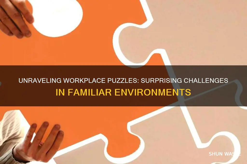 what can puzzled you in your environment or work experience