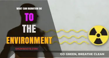 Radiation's Environmental Impact: Effects, Hazards, and Long-Term Consequences