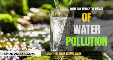 Natural Solutions: Green Strategies to Mitigate Water Pollution's Reach