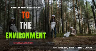 Cutting Plastic Waste: Transforming Ecosystems and Saving Our Planet's Future