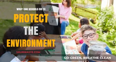 Sustainable Schools: Practical Steps to Protect Our Environment