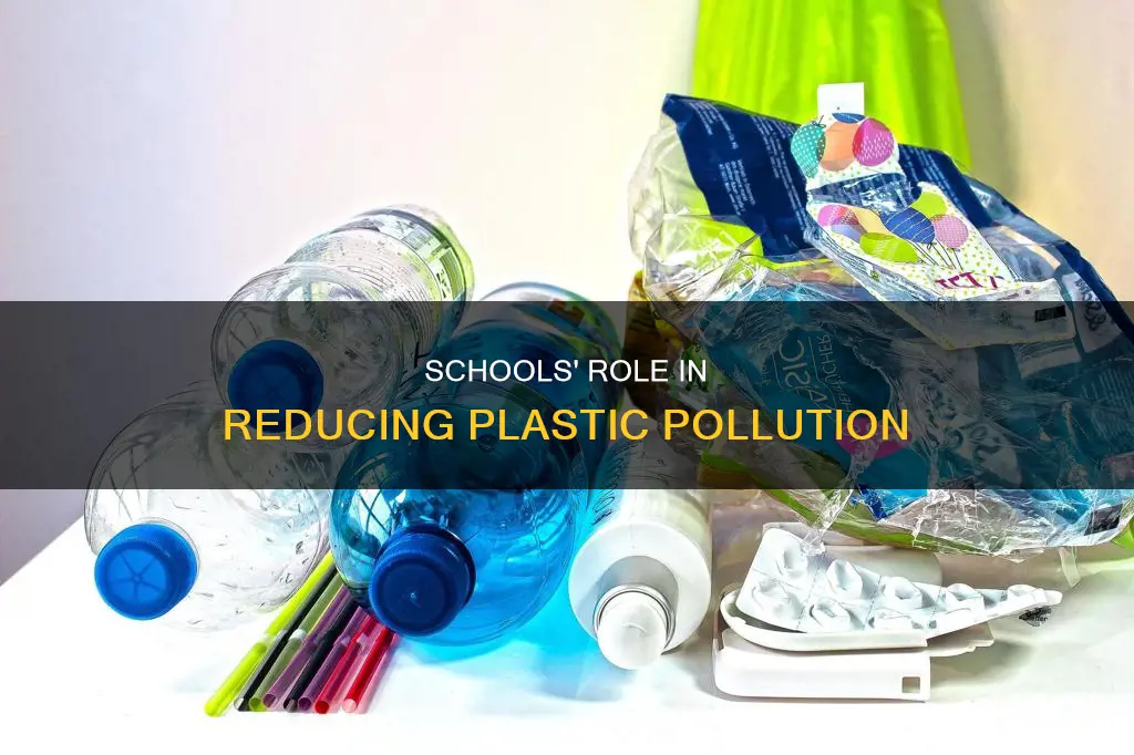 what can schools do to reduce plastic pollution