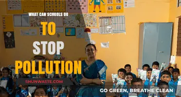 Educating for a Greener Future: Schools' Role in Combating Pollution