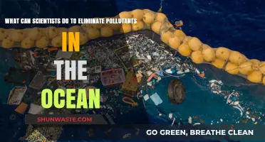 Ocean Clean-Up: Scientists' Strategies to Eradicate Marine Pollution